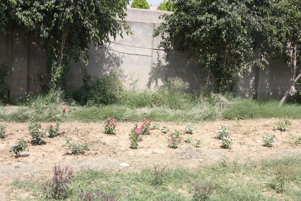 Herbal Garden