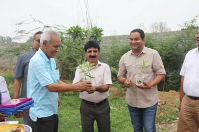 Tree Plantation Ceremony 2019