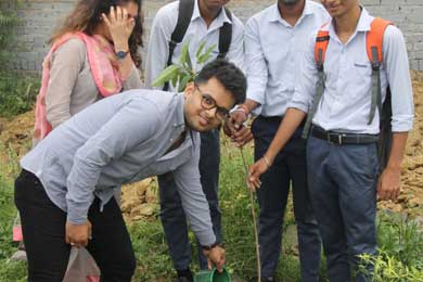 Tree Plantation Ceremony 2019