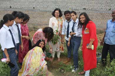 Tree Plantation Ceremony 2019