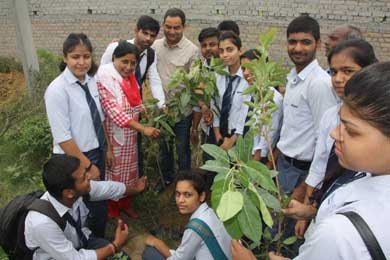 Tree Plantation Ceremony 2019