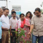 Tree Plantation Ceremony 2019