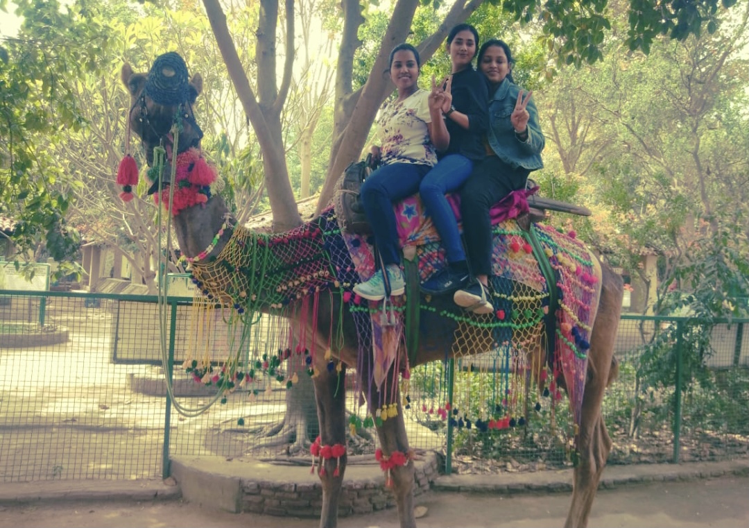 Day at Pratapgarh Farms